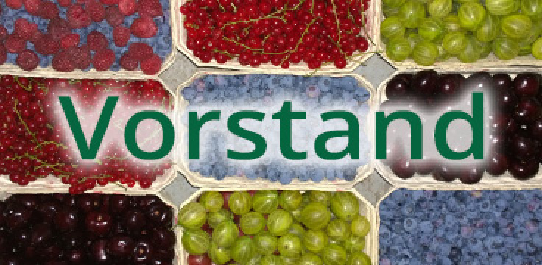 Vorstandschaft